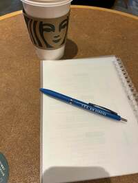 平野ノラ『ざいまーす』