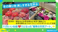 【映像】凍っても美しい“花手水”