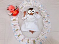 平野ノラ『月齢記念写真』