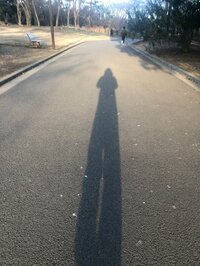 市川海老蔵『バレンタイン』