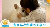 【映像】仲良しな娘でも雑な“なでなで”は許せなかった犬