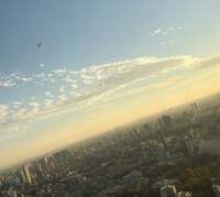 エド・はるみ『坂田利夫師匠』