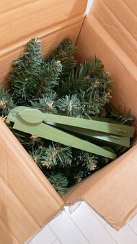 細川直美『”今年のクリスマスツリー”』