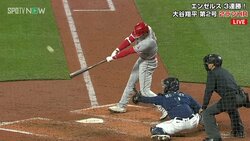 漫画のような大谷翔平の特大弾に「麦わらの一味だったのか！」ファン興奮 麦わら帽子をかぶって祝福される姿に「ルフィ谷さん」納得