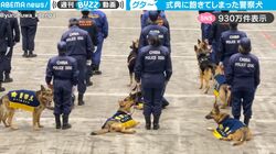 式典に飽きた警察犬たち、お腹を出して「かまって～」からの爆睡も…勇ましい警察犬たちが見せたオフの姿がかわいすぎると大反響