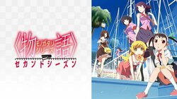 届かないと知っているけれど…＜物語シリーズ＞屈指の切ない場面 羽川翼、告白から号泣の名場面「世界一好きな失恋シーン」