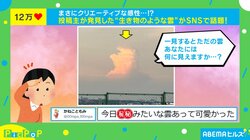 夕暮れ空に“生き物のような雲”が出現！イラスト化した投稿者に「こういう感性すてきだと思う」と絶賛の声