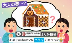 6時間かけて完成した“おつまみの家”に27万いいね「永遠に飲める」「家賃ナンボなん?!」と反響