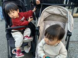  あいのり・桃、帰宅後に驚いたこと「子供がいると余計パニックになりそう」 