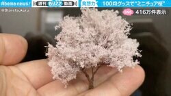 発想が天才的！100円ショップの材料だけで作る圧巻の“ミニチュア桜” クオリティの高さに「令和の花咲か爺さんだ！」「素晴らしい桜！」と大反響