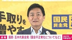 「サッカーは11人対11人でやるが、一方を5人減らすとサッカーができなくなる」玉木氏が議員定数削減法案を批判「野党削減法案だ」