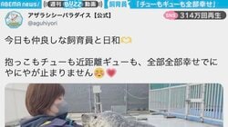 飼育員とアザラシが抱き合って…“イチャイチャ”する光景に羨ましがる人続出「来世はアザラシになろうかな」「天職だねぇ～」