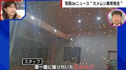 大量のカメムシが窓に…異常発生で住民の生活にも影響「カメムシに混じってバーベキューしている状態」