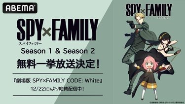 TVアニメ『SPY×FAMILY』全37話、1月6日から3週連続で一挙放送！フォー