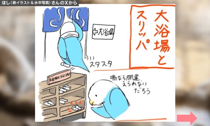 ほしさんの投稿