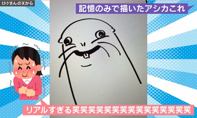 アシカの絵