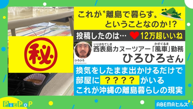 離島暮らしの現実!? 絶滅危惧種の“来客”に投稿主「1時間ほど放ったらかしに」 1枚目