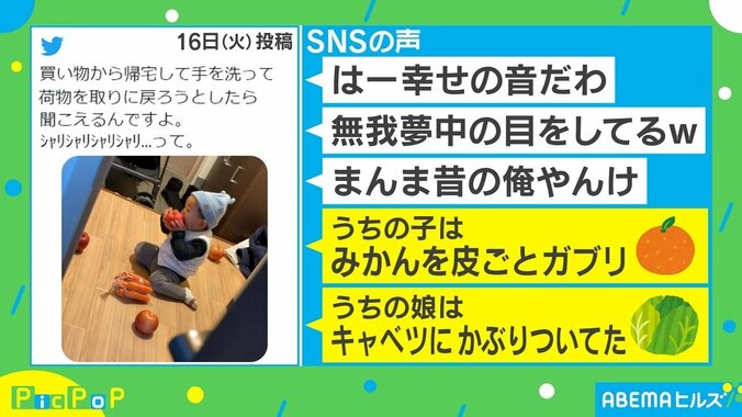 買い物から帰宅後に玄関から「シャリシャリ…」 不思議な音の正体は 投稿者を取材 1枚目