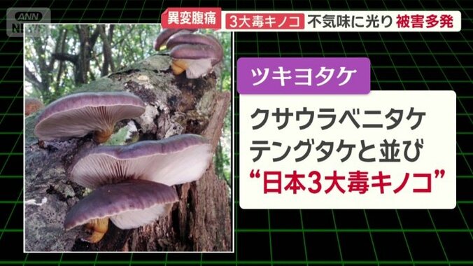 日本3大毒キノコ