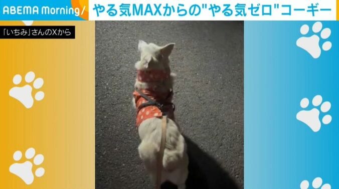 いちみちゃん
