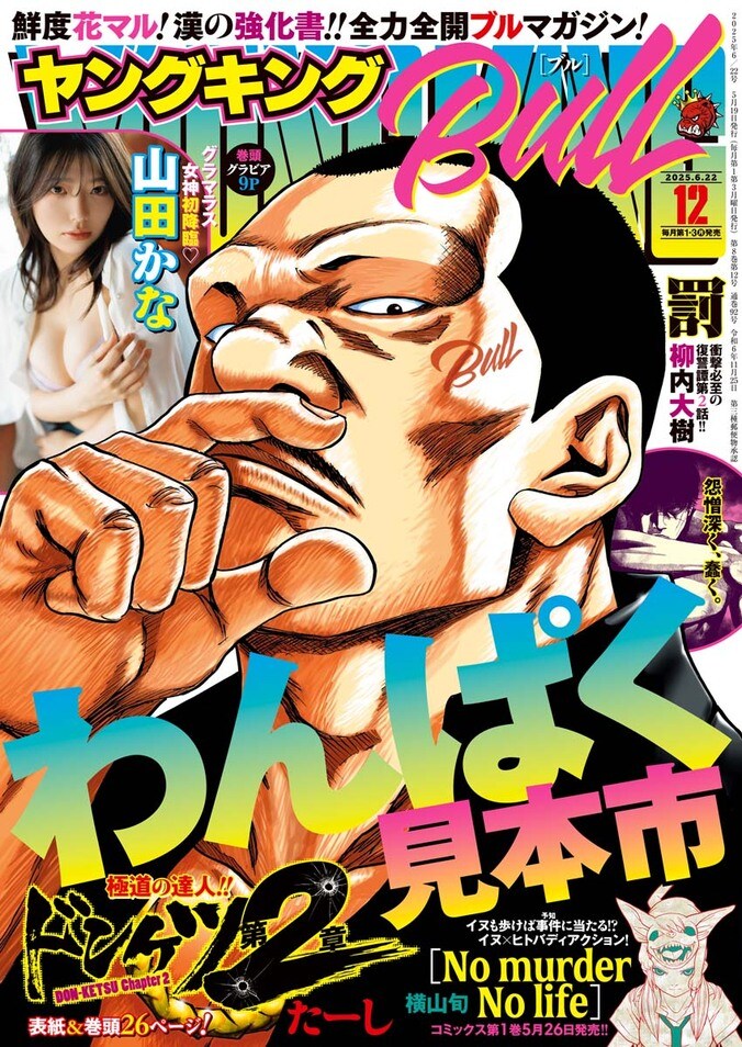 『ヤングキングBULL 2025年12号』