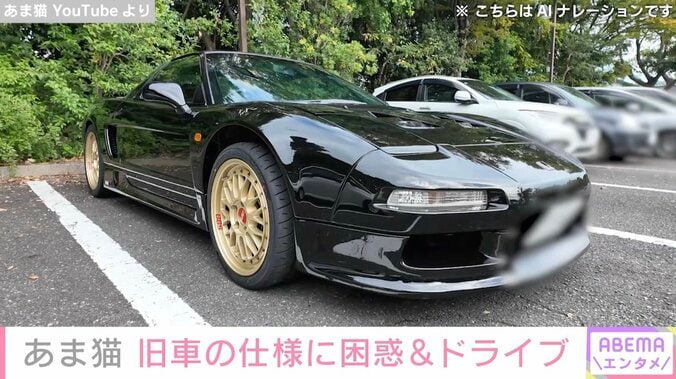 “複数の高級車所有” あま猫、1990年式ホンダNSX NA1の仕様に困惑&首都高ドライブ「物理キーはめっちゃ懐かしい」「おじさん世代にはたまらない」と反響 5枚目