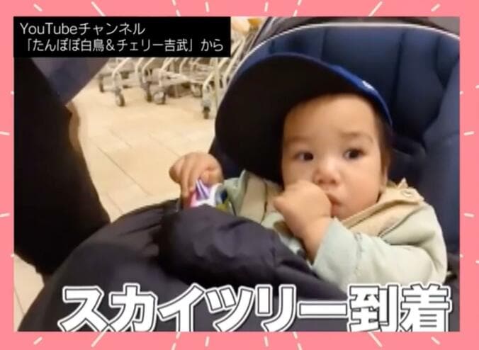 たんぽぽ白鳥＆チェリー吉武夫婦の息子