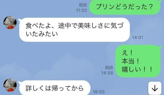  ニッチェ・江上、夫から届いた嬉しいLINEの内容を公開「帰ったら詳しく聞こう」  1枚目