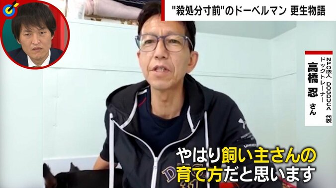 人を噛んで“殺処分”寸前のドーベルマンを保護 「問題は犬種ではなく飼い主の育て方」更生に挑んだトレーナー男性が訴え 4枚目