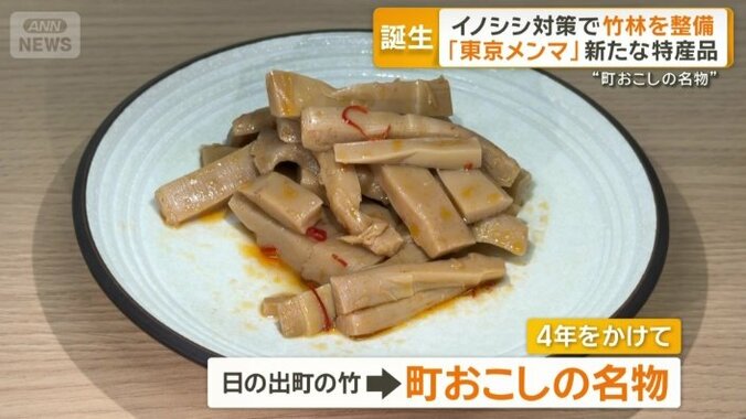 日の出町の竹を“町おこしの名物”へ