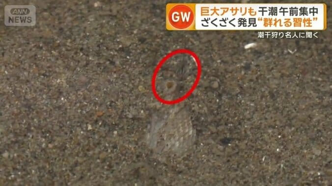 “分かりにくい”穴
