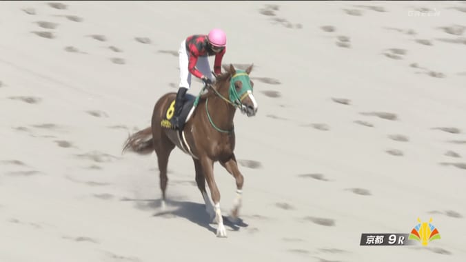 【映像】ホリエモン所有馬、「マジで強すぎる」圧巻レース