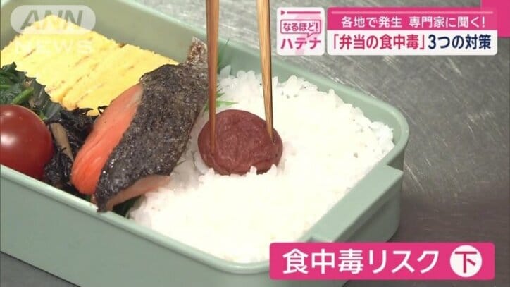 防腐効果が期待できる食材を入れることで…