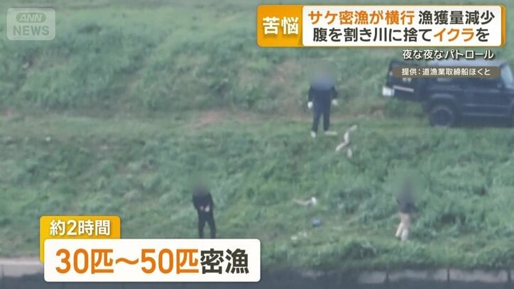 約2時間で30匹～50匹密漁