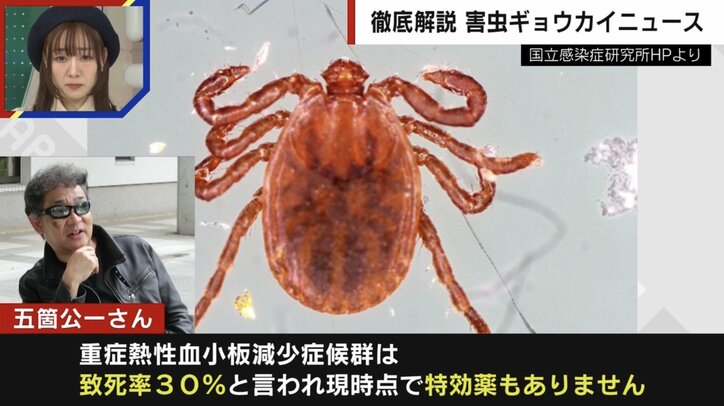 マダニに噛まれて感染する「重症熱性血小板減少症候群（SFTS）」に注意 致死率は最大で3割、特効薬となるワクチンも存在しない…