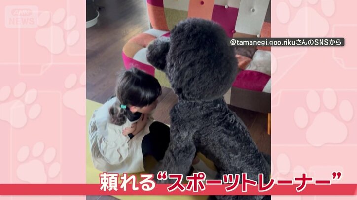 まるで“スポーツトレーナー”