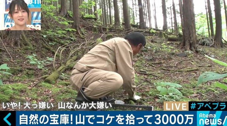 カブトムシやコケを売って年間3000万円の売上も…日本の山が持つ意外なポテンシャル