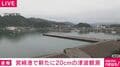 宮崎港で新たに20cmの津波観測