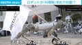 「雇用を守れ」「待つな!規制せよ」ロボット約30体が広場でシュプレヒコール!? 二足&四足歩行ロボが縦横無尽にデモ行進する異様な光景 ポーランド