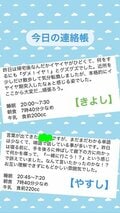 蒼井そら、双子が通う保育園の連絡帳を公開「実は元保育士の妹が書いていて」