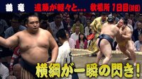 鶴竜が遠藤を下す