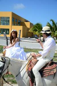 アレクサンダー『旅行行きたいな❤️』