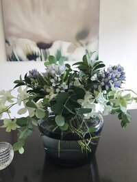 稲垣吾郎『残念な店長』