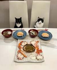 藤あや子『おうちごはん』