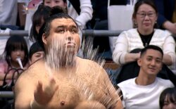 高安に“着物女性”の「大応援団」衝撃的な光景… 9度目の正直ならず夢破れるも人気と期待の高さ変わらず