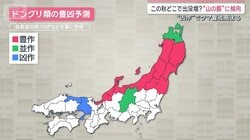 この秋どこでクマ出没増？ドングリの実りに“ある傾向” 凶作で高まる警戒