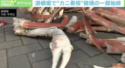 カニの脚がバラバラに…大阪道頓堀で“看板”破壊 悪質行為に社長「絶対に許せない」