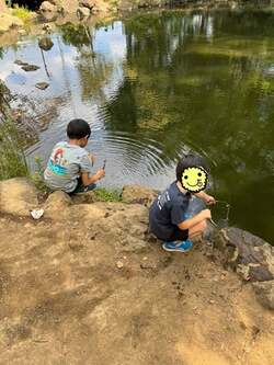  小倉優子、100均のアイテムで子どもたちとザリガニ釣り「秋は沢山お出かけしたいです！！」 