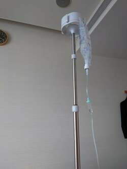  秋野暢子、内視鏡の手術前に受けた24時間の点滴「無事生還してきます」 