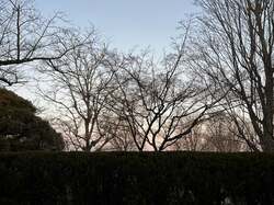  古村比呂、薬を服用しても止まらない症状を明かす「辛かったですね」「御身を大切にされてください」の声 